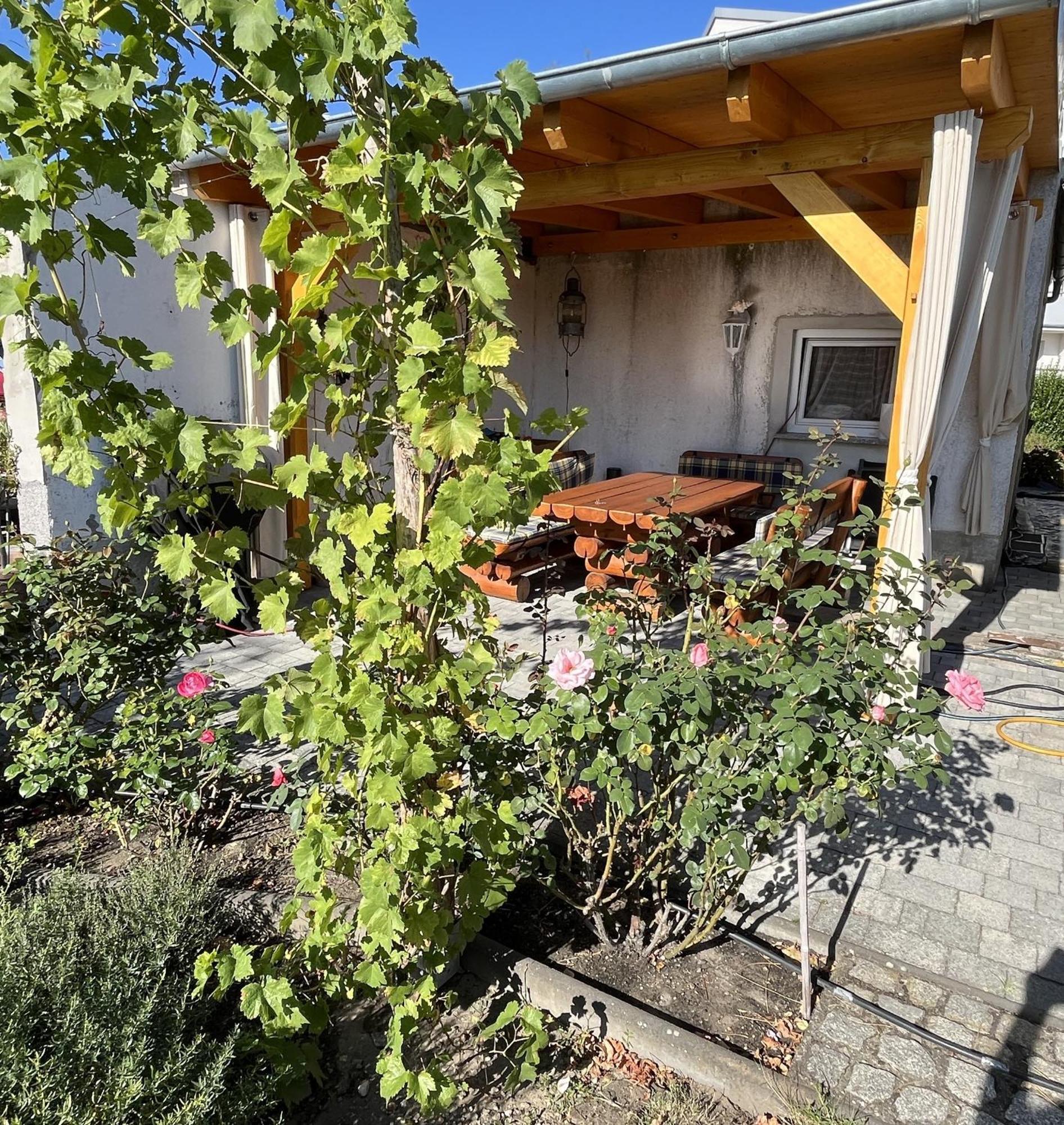 Die Ferienwohnung - Wittenberg An Den Elbwiesen Exterior photo